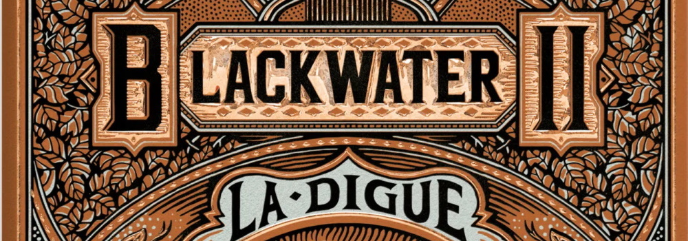 You are currently viewing Blackwater 2 : La digue, Attention chantier