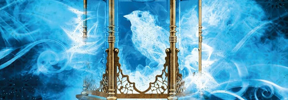 You are currently viewing Le radar de l’ours, Décembre 2025